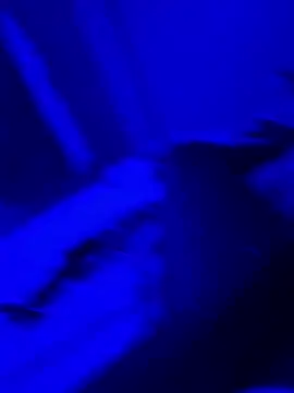 bigbola304 online show from March 31, 2026, 2:13 am