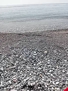 Snapshot of NAvoglia chatting on July 20, 2026, 1:46 pm NAvoglia online show from July 20, 2026, 1:46 pm