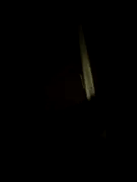 Snapshot of dominationmybigdick chatting on July 17, 2026, 10:47 pm dominationmybigdick online show from July 17, 2026, 10:47 pm