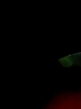 Snapshot of ginger_1_1 chatting on March 18, 2025, 12:38 am ginger 1 1 online show from March 18, 2025, 12:38 am