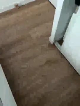 lucas3i online show from April 1, 2026, 12:50 pm