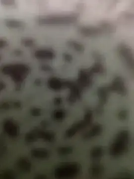 Snapshot of Yashkumar_0697 chatting on October 13, 2025, 8:42 pm Yashkumar 0697 online show from October 13, 2025, 8:42 pm