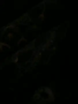 Snapshot of leonard__123 chatting on February 6, 2025, 10:10 pm leonard 123 online show from February 6, 2025, 10:10 pm