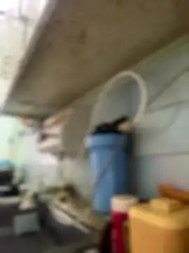 Snapshot of Carola-Ross chatting on January 6, 2026, 4:32 pm Carola-Ross online show from January 6, 2026, 4:32 pm