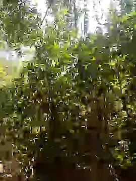 Pussy-Hairy-Horny online show from February 16, 2025, 6:54 pm