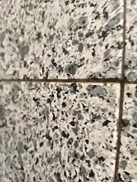 Snapshot of henri69 chatting on February 24, 2026, 2:42 am henri69 online show from February 24, 2026, 2:42 am