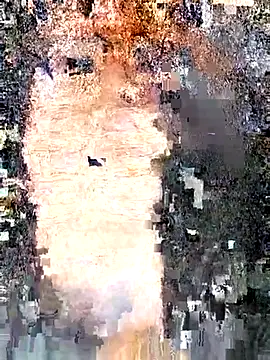 Snapshot of erinadarling79 chatting on September 25, 2025, 10:02 pm erinadarling79 online show from September 25, 2025, 10:02 pm