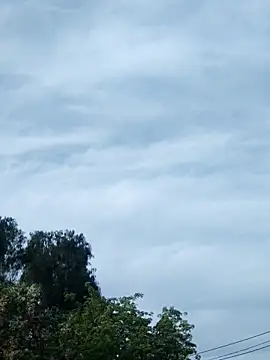 Snapshot of erinadarling79 chatting on October 16, 2025, 9:38 pm erinadarling79 online show from October 16, 2025, 9:38 pm