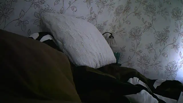 Snapshot of Teemu chatting on September 27, 2025, 2:33 pm Teemu online show from September 27, 2025, 2:33 pm