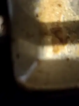 Snapshot of Loly2025 chatting on February 20, 2025, 2:35 pm Loly2025 online show from February 20, 2025, 2:35 pm