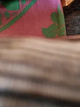 cocktony online show from January 13, 2026, 9:36 am