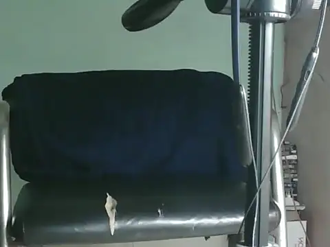 PreetyKitten online show from November 8, 2025, 1:55 pm