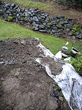 KingSlim56 online show from November 15, 2025, 8:16 pm