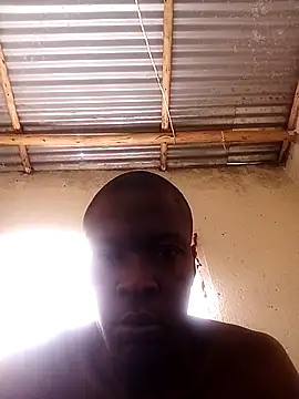 lilpip online show from April 6, 2026, 5:41 am