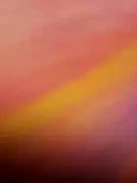 wildfun  online show from November 4, 2025, 7:07 am