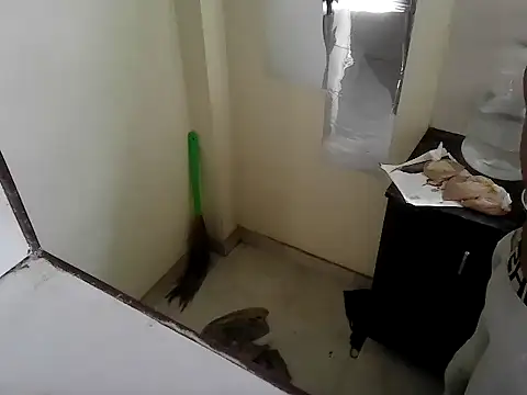 fitbuddy1 online show from September 11, 2025, 9:42 am