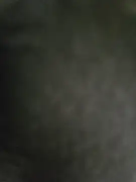 hmlu online show from February 26, 2025, 2:59 am