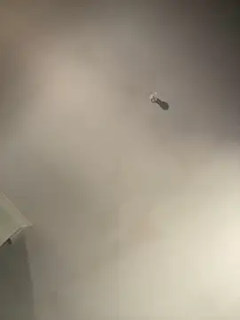 Snapshot of 1Zoey101 chatting on February 2, 2026, 1:37 am 1Zoey101 online show from February 2, 2026, 1:37 am