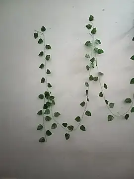 Neha-Bhabhi-Rasily online show from February 14, 2026, 4:42 am