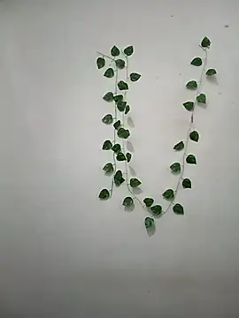 Neha-Bhabhi-Rasily online show from March 8, 2026, 11:14 am