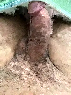 Iliase online show from November 15, 2025, 9:17 am