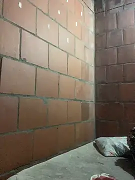 sex room 1608 online show from May 16, 2026, 2:41 am