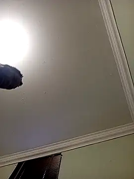 Latte1204 online show from April 22, 2026, 5:21 am