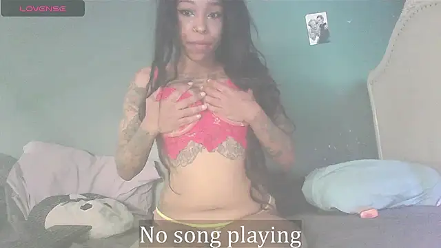 Snapshot of StellaDallas69 chatting on February 12, 2026, 12:11 pm StellaDallas69 online show from February 12, 2026, 12:11 pm