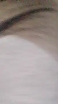 Snapshot of patrona_sexooo chatting on March 9, 2025, 8:42 pm patrona sexooo online show from March 9, 2025, 8:42 pm