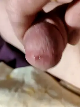 --Serhei-- online show from February 6, 2026, 4:54 pm