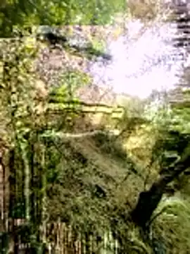 Snapshot of himvilohi08 chatting on March 16, 2026, 3:23 am himvilohi08 online show from March 16, 2026, 3:23 am