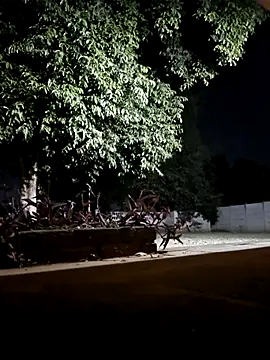 bakedsnackmmh online show from February 19, 2026, 9:33 pm