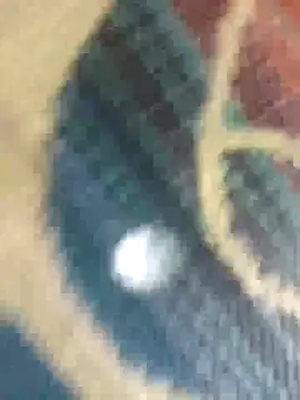 Snapshot of Sexy-nandani-baby chatting on October 12, 2025, 5:28 am Sexy-nandani-baby online show from October 12, 2025, 5:28 am