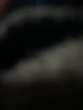 Snapshot of HARSHHU01 chatting on March 17, 2025, 3:07 pm HARSHHU01 online show from March 17, 2025, 3:07 pm