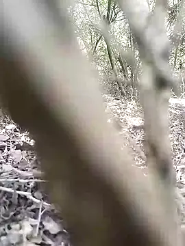 CertifiedSatisfier online show from November 12, 2025, 10:37 am