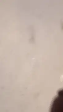 Nick-Ox online show from March 13, 2026, 6:47 pm