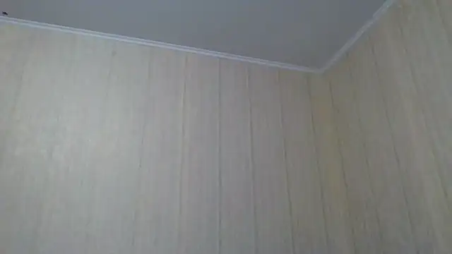 Snapshot of _Black-Panther_ chatting on September 28, 2025, 10:31 am  Black-Panther  online show from September 28, 2025, 10:31 am