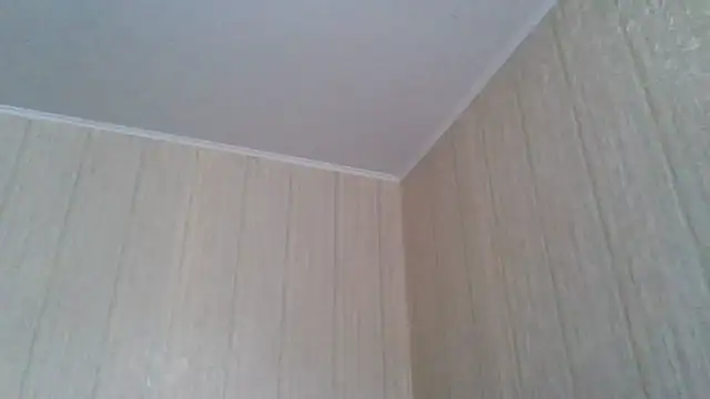 Snapshot of _Black-Panther_ chatting on May 21, 2026, 11:17 am Black-Panther online show from May 21, 2026, 11:17 am