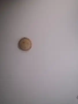 yourflowerpink online show from November 29, 2025, 8:28 am