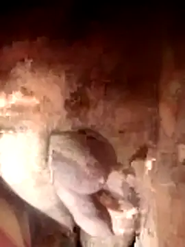 Ayush pussy fucker online show from November 23, 2025, 6:08 pm