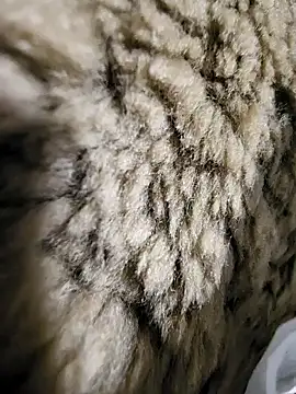 Snapshot of ikeike-kun chatting on December 2, 2025, 1:33 am ikeike-kun online show from December 2, 2025, 1:33 am