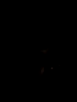 Snapshot of John96999 chatting on March 16, 2025, 12:12 am John96999 online show from March 16, 2025, 12:12 am