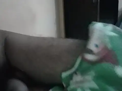 Snapshot of United95X chatting on September 12, 2025, 1:55 pm United95X online show from September 12, 2025, 1:55 pm