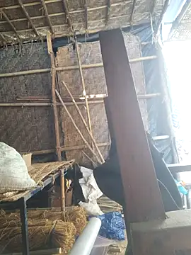 hot integer online show from February 21, 2026, 2:56 am