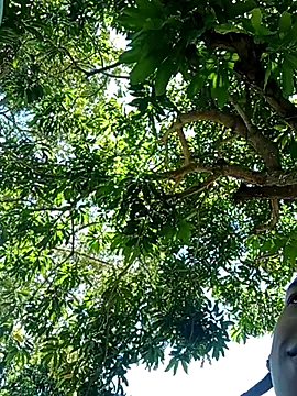 Snapshot of perversumm chatting on September 21, 2025, 4:19 pm perversumm online show from September 21, 2025, 4:19 pm