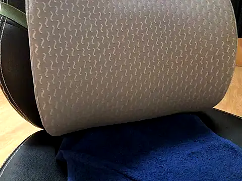 Snapshot of WhitePath chatting on March 20, 2025, 2:42 pm WhitePath online show from March 20, 2025, 2:42 pm