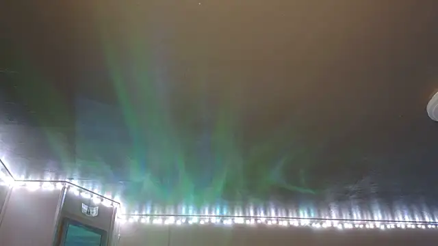 mavismable online show from February 3, 2026, 6:22 am