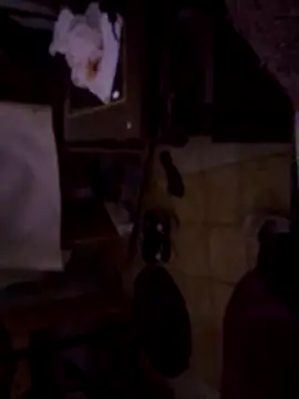 DannyRosarioxxx online show from November 14, 2025, 6:28 pm