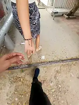 Snapshot of lilobaby chatting on October 19, 2025, 8:53 pm lilobaby online show from October 19, 2025, 8:53 pm