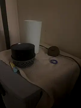 daddyLeeandprincessmarie online show from November 17, 2025, 1:11 am